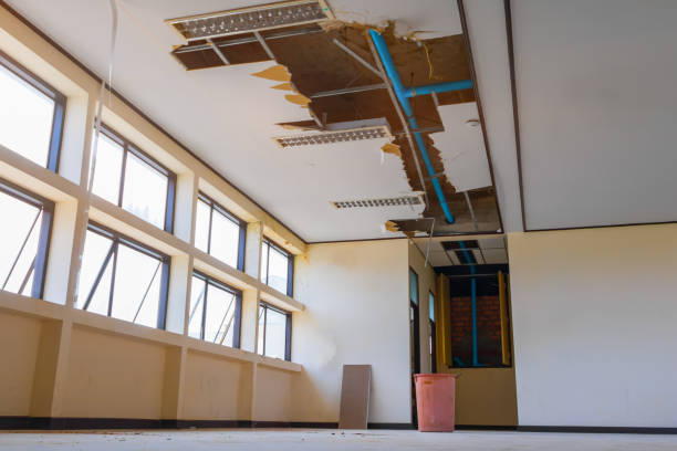 Best Emergency water damage restoration  in Selmer, TN