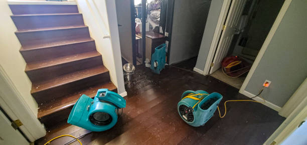 Best Carpet water damage restoration  in Selmer, TN