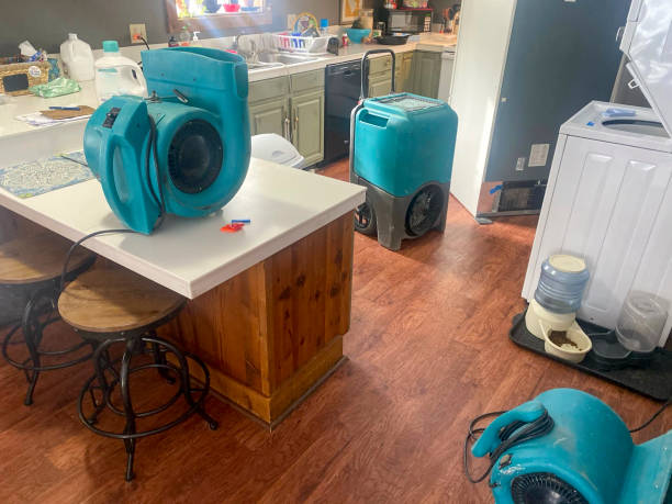 Best Basement water damage restoration  in Selmer, TN