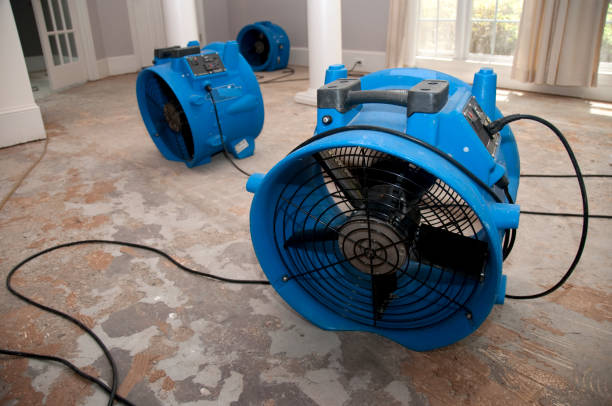 Best Water damage repair service  in Selmer, TN