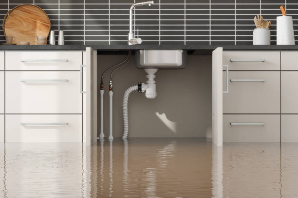 Best Carpet water damage restoration  in Selmer, TN