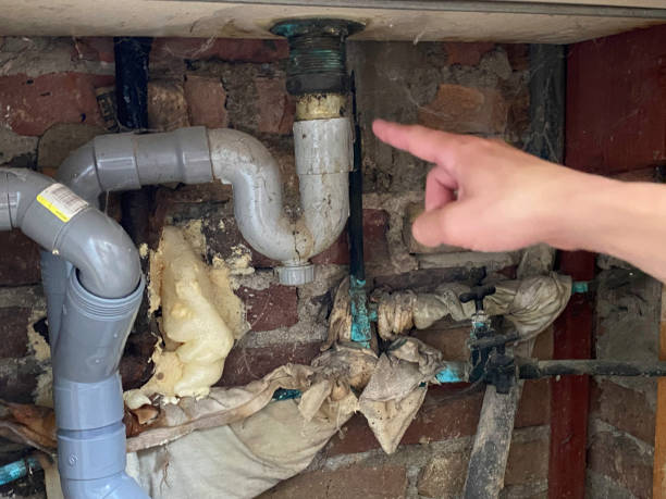 Best Sewage cleanup and water damage restoration  in Selmer, TN