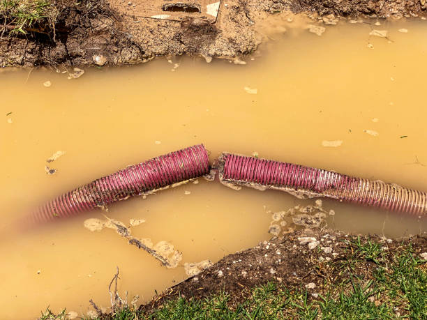 Best Water damage contractors near me  in Selmer, TN