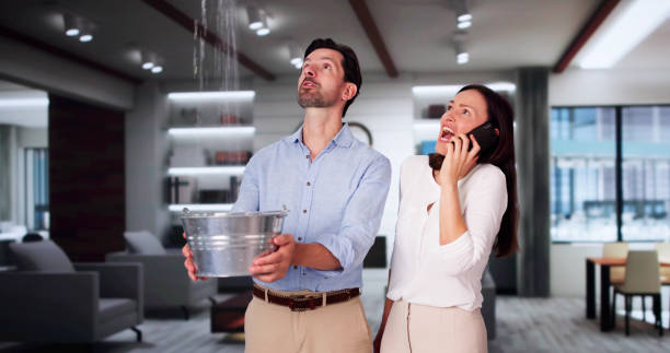 Best Flood damage cleanup  in Selmer, TN