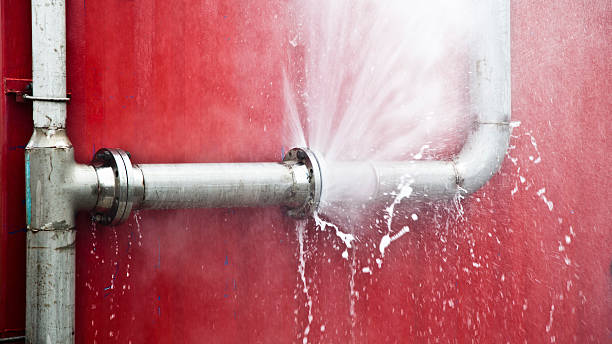 Best Residential water damage restoration  in Selmer, TN