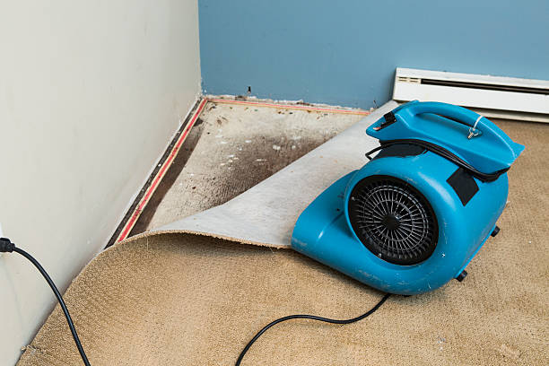 Best Flood restoration services  in Selmer, TN